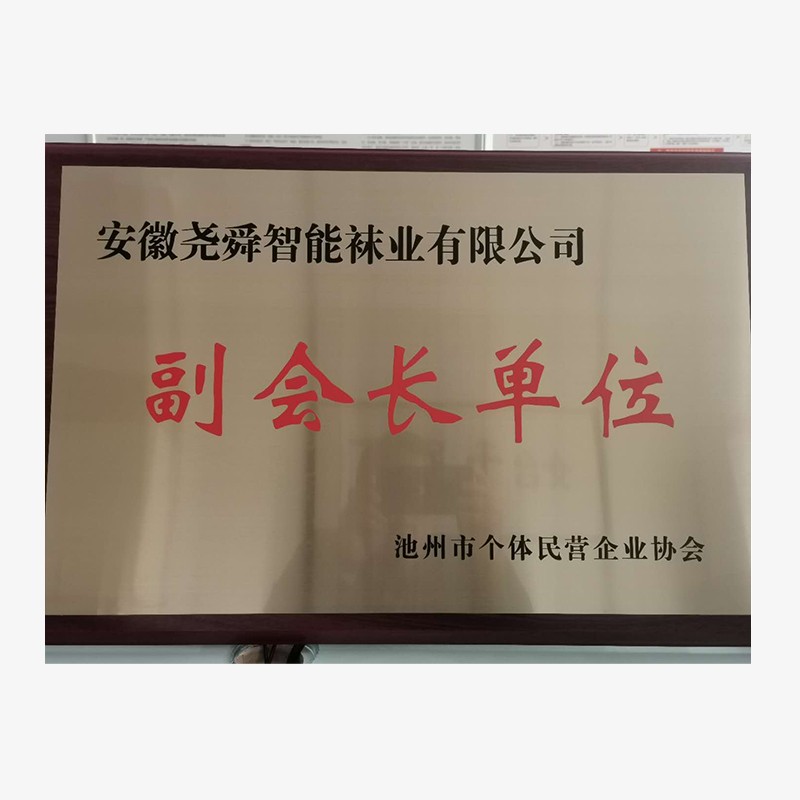 池州市個體民營企業(yè)協(xié)會副會長單位