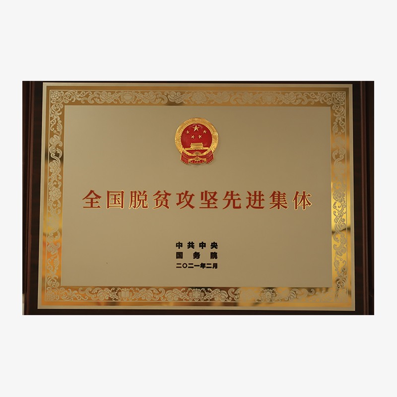2021全國脫貧攻堅(jiān)先進(jìn)集體 (1)