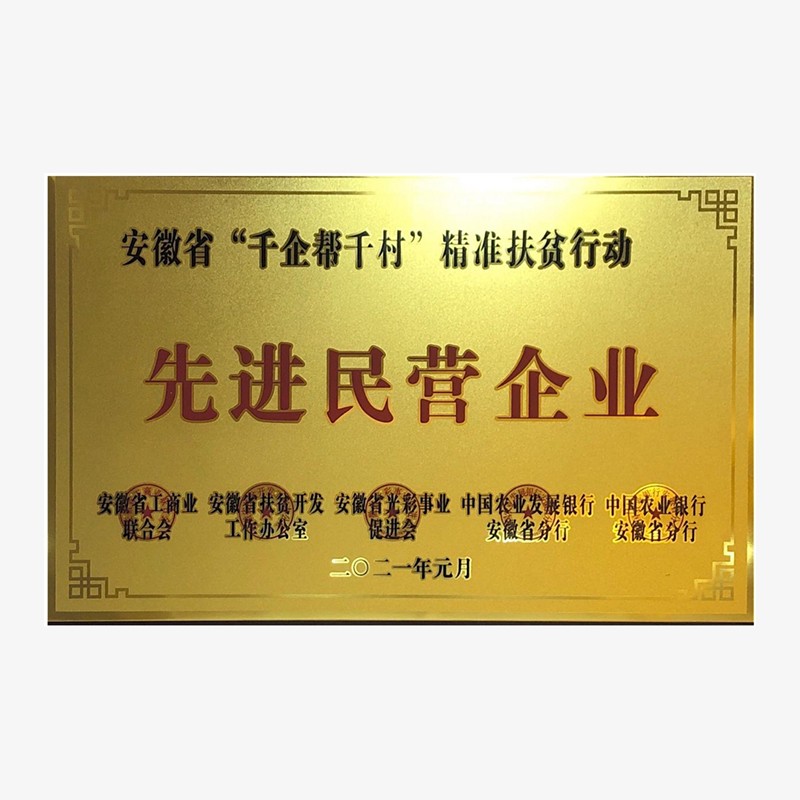 2021安徽省精準(zhǔn)扶貧行動(dòng)先進(jìn)民營(yíng)企業(yè)