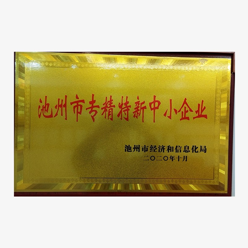 池州市專精特新中小企業(yè)