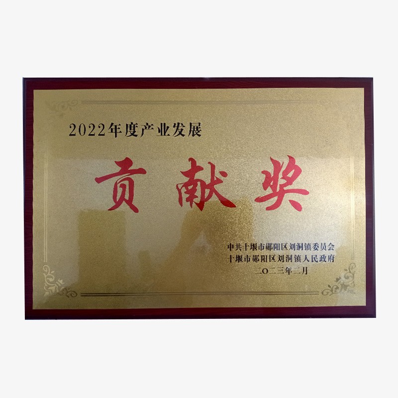2022年度產業(yè)發(fā)展貢獻獎