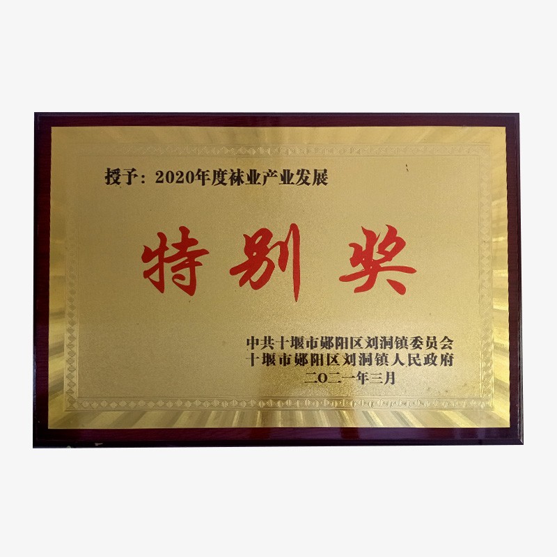 2022年度襪業(yè)產業(yè)發(fā)展特別獎