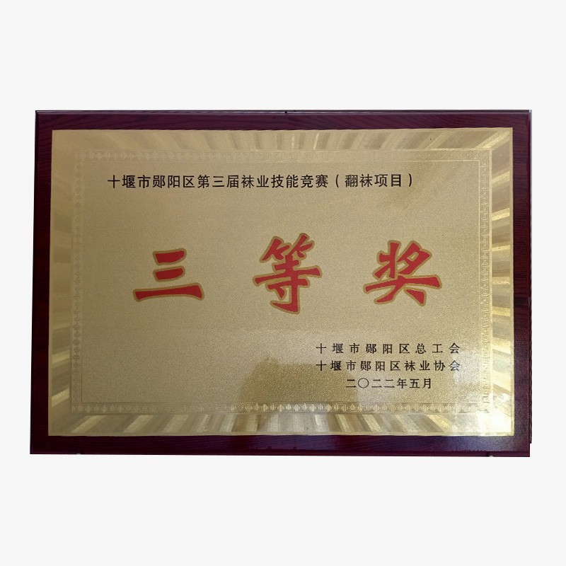 十堰市鄖陽區(qū)第三屆襪業(yè)技能競賽三等獎